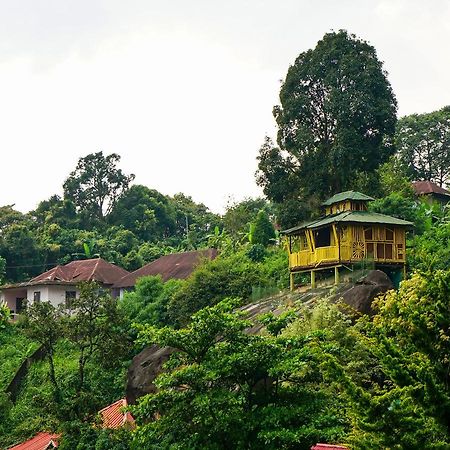 Oyo 10262 Hotel Munnar Rock Exterior photo